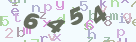 看不清？点击更换